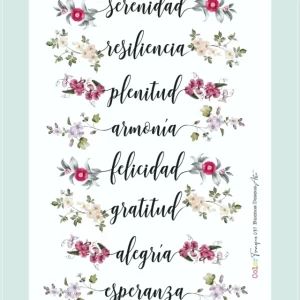 laminacolortransfer 1