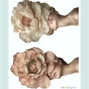 laminacolortransfer 119