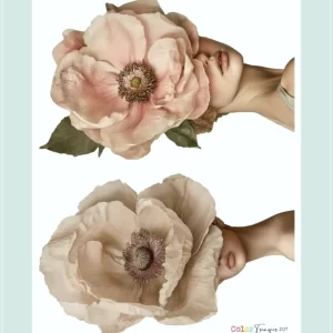 laminacolortransfer 120