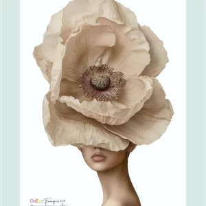 laminacolortransfer 124