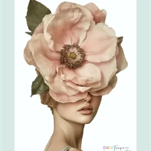 laminacolortransfer 128