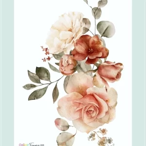 laminacolortransfer 18