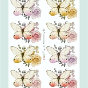 laminacolortransfer 33