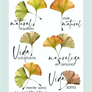 laminacolortransfer 77